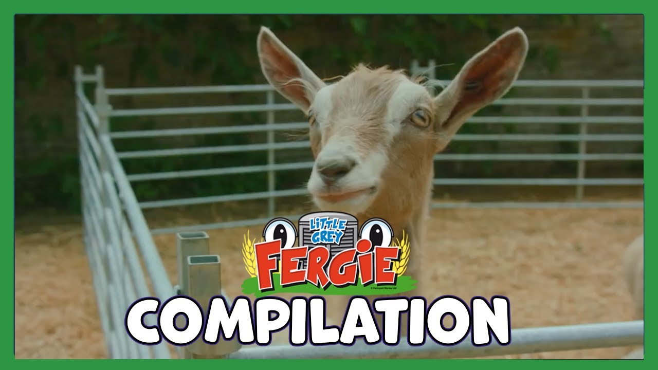 Animals!  | Fergie Saves Peggie Piglet 🐖 | Little Grey Fergie