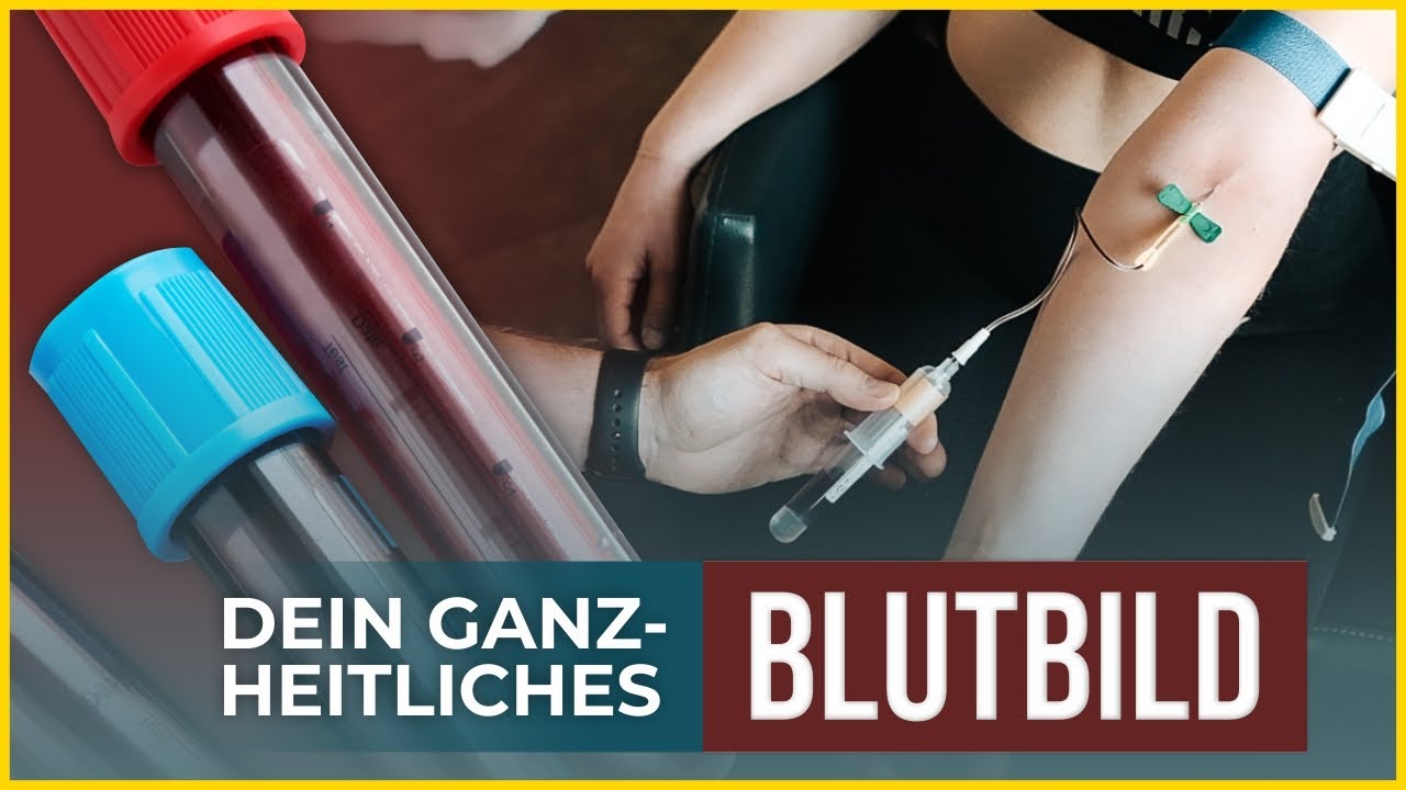 Diese Blutwerte solltest du checken lassen! // Mit Doc Thiemo Osterhaus