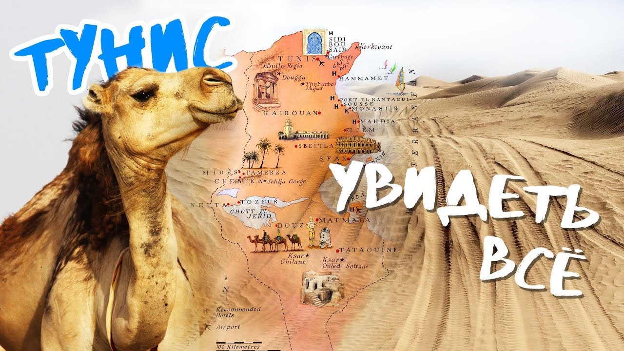 Всё, что стоит сделать и посмотреть в Тунисе | Тунис 2019