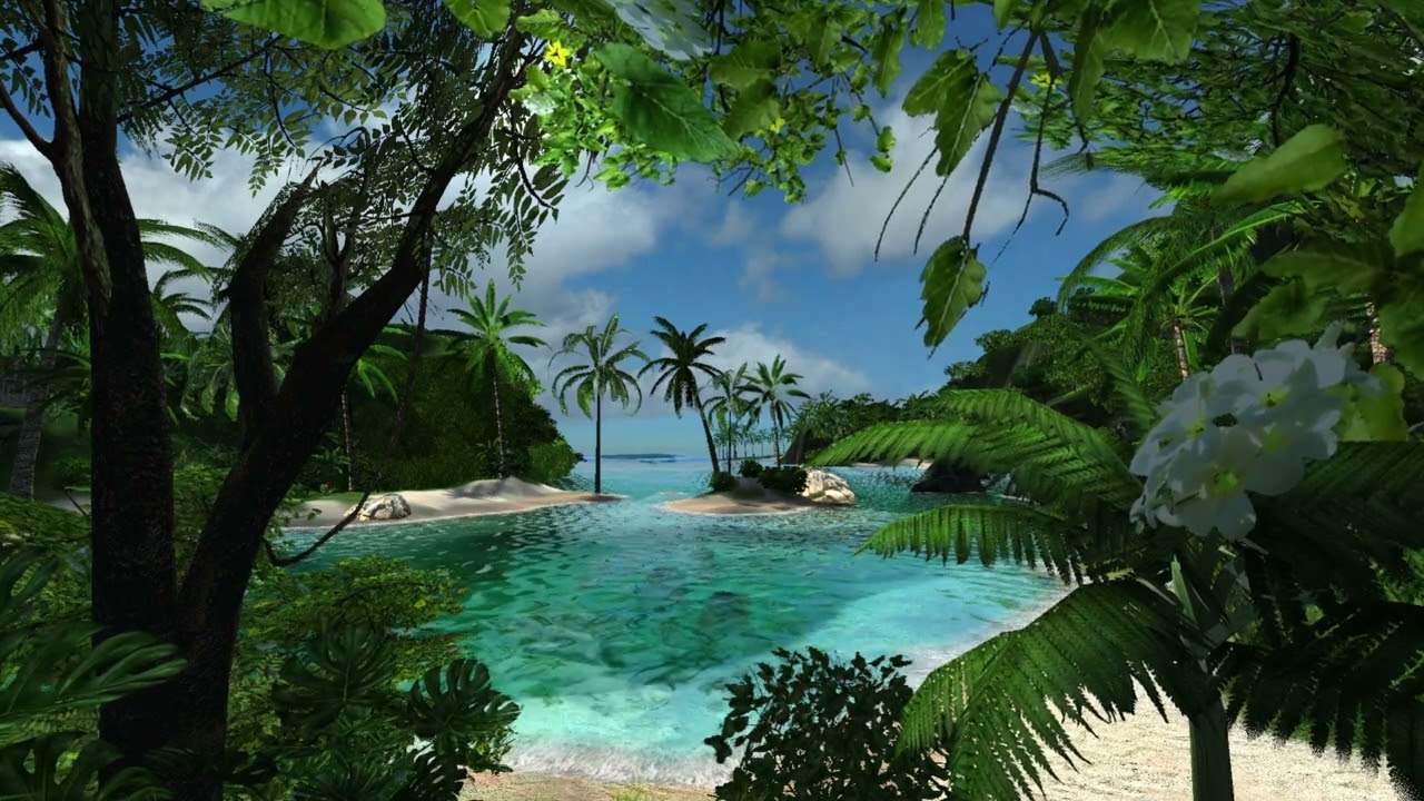 1 Hour Relaxing Tropical Paradise Ambience in Ultra HD | 4K