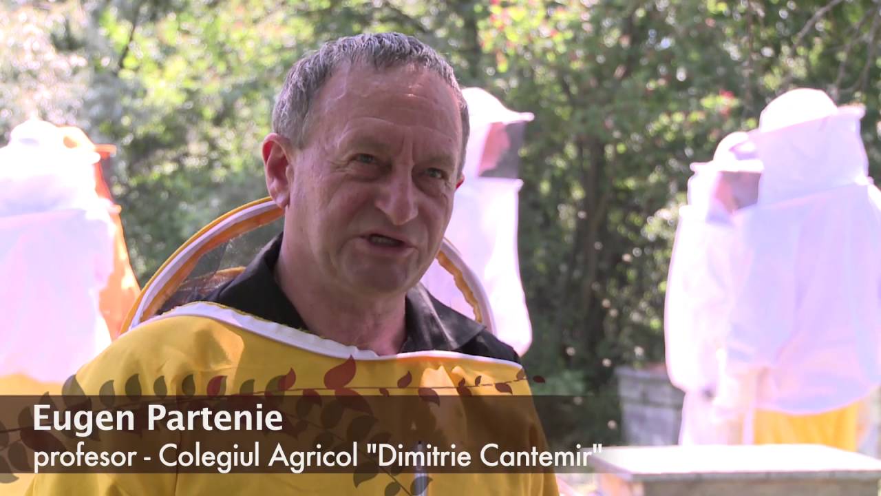 Colegiul Agricol Dimitrie Cantemir - Husi