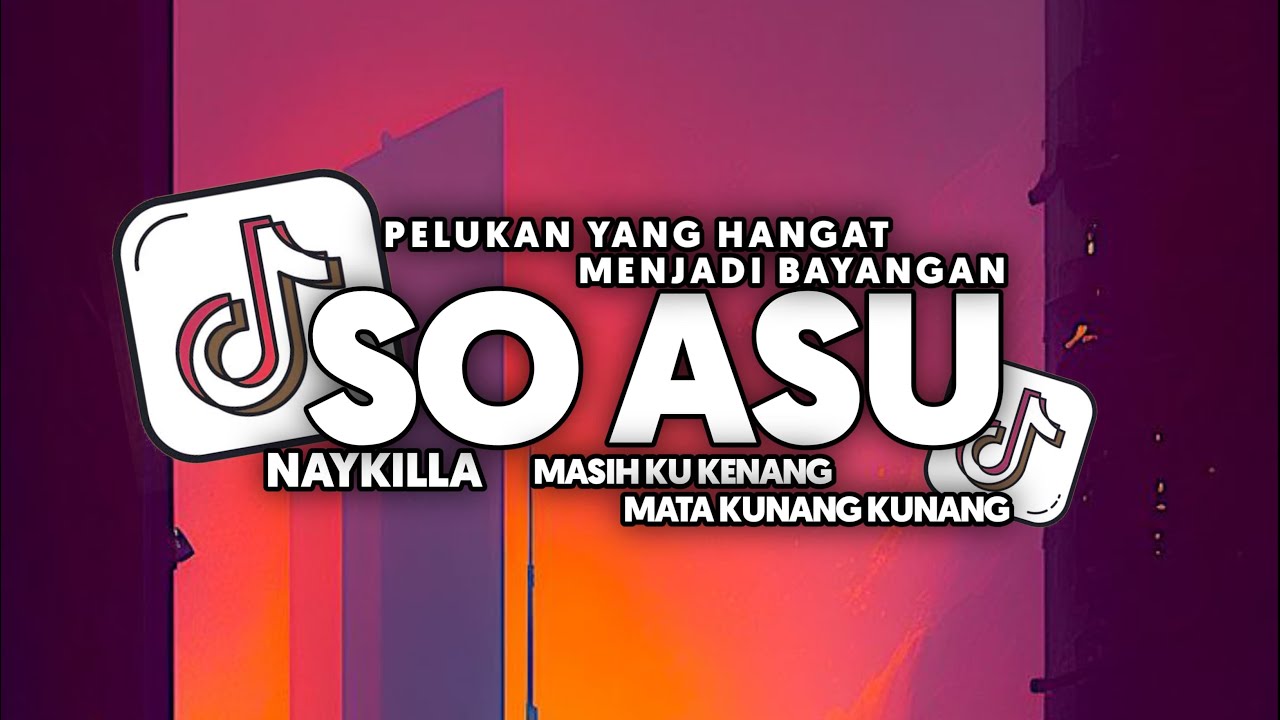 DJ SO ASU | PELUKAN YANG HANGAT MENJADI BAYANGAN FULL SONG Vel Remixer 2025