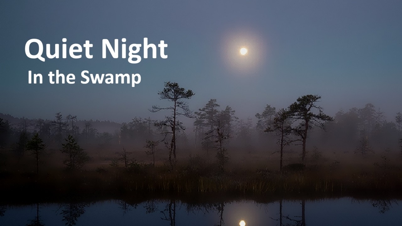 Full Moon Over a Misty Swamp (4H) | Crickets & Frogs Night Ambience for Sleep & Focus (No Music)