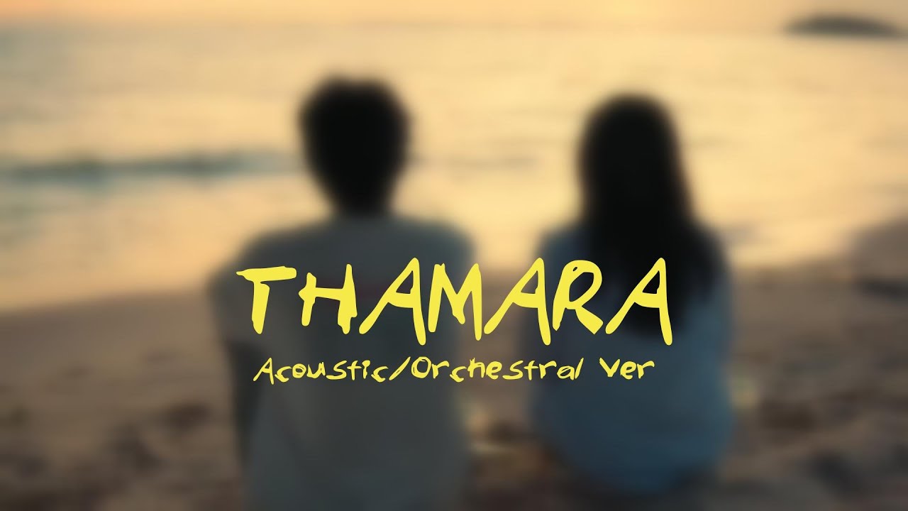 THAMARA - TheLungten | Acoustic/Orchestral Cover  -  The Crooner.