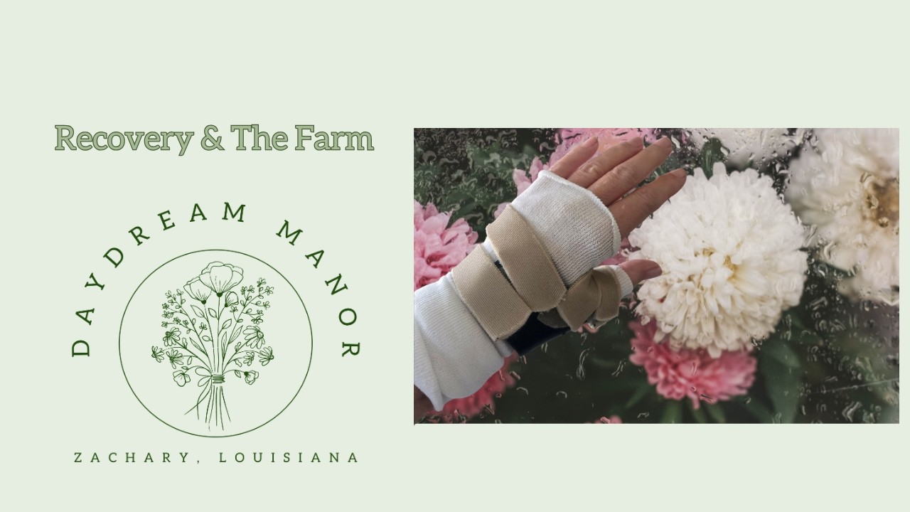 Catching You Up… Hand Surgery, Healing, and the Farm