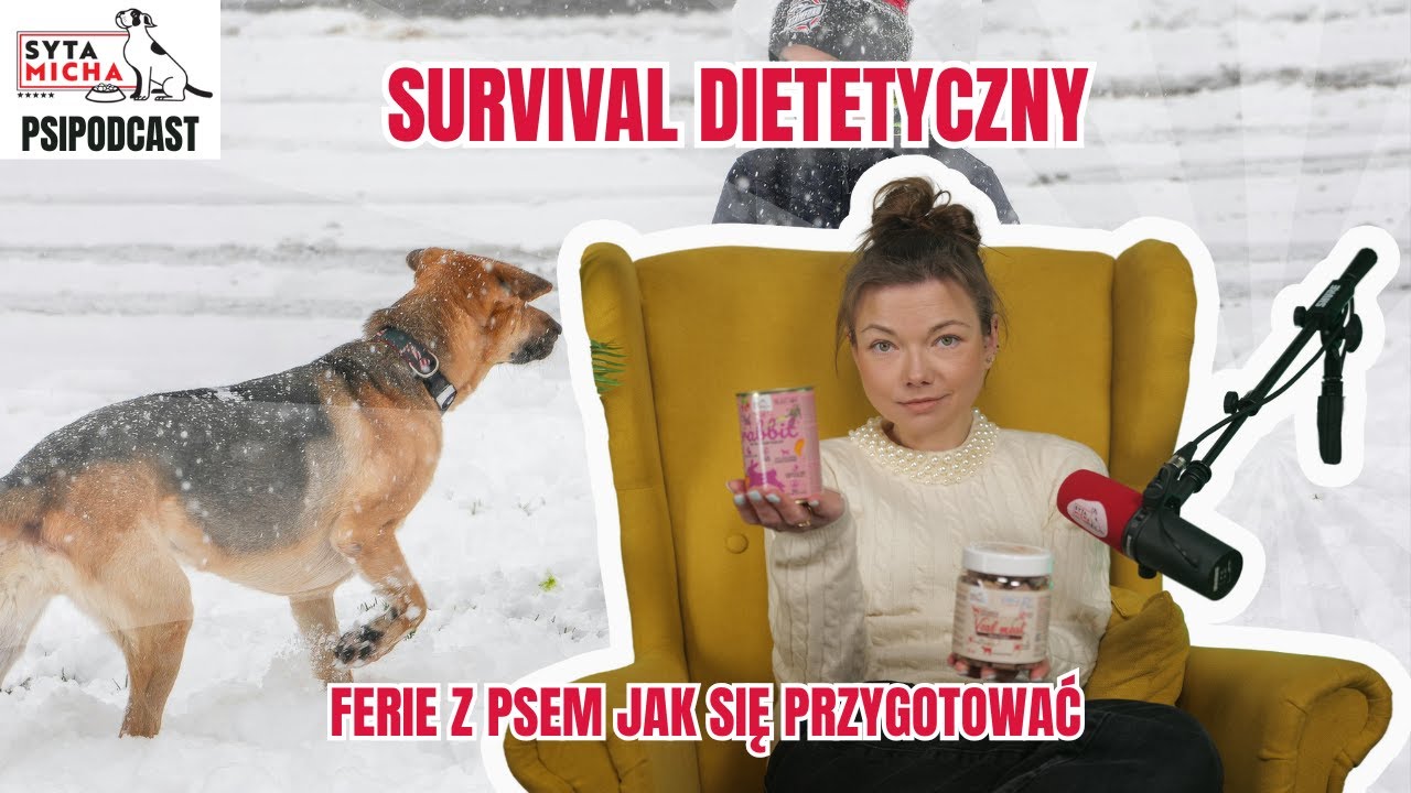 Survival Dietetyczny: Jak karmić psa zimą na wyjeździe? [Poradnik]