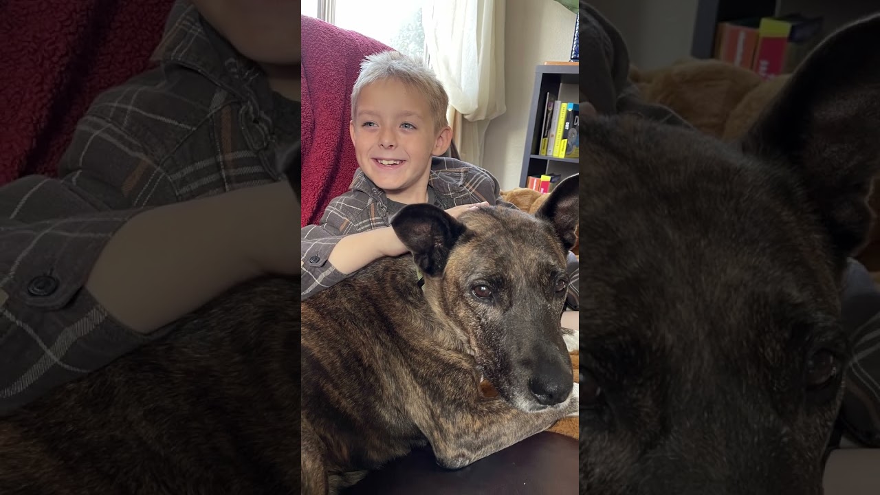 Alice's Story - From rescue, to foster, to adoption | Marley's Mutts