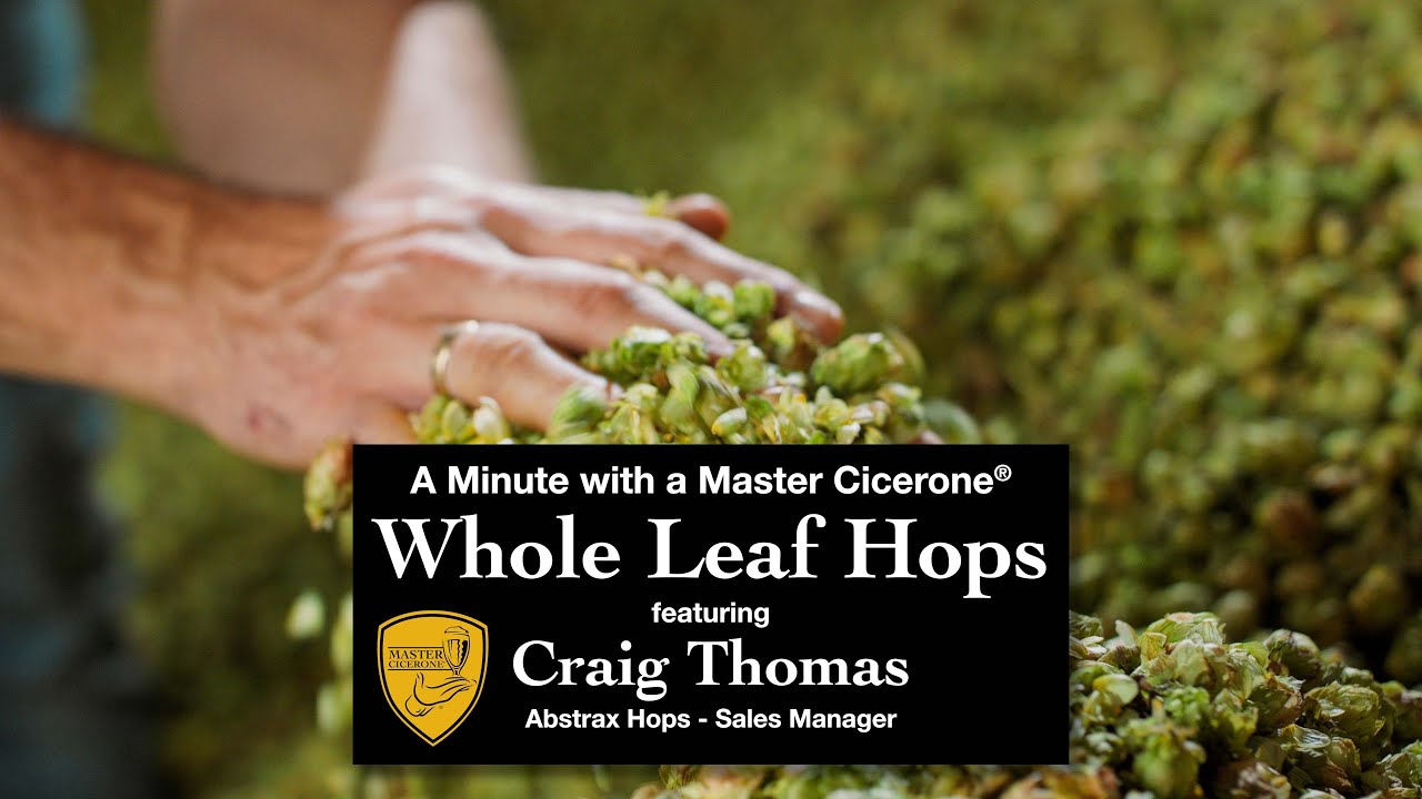 Minute with a Master Craig Thomas - Whole Leaf Hops