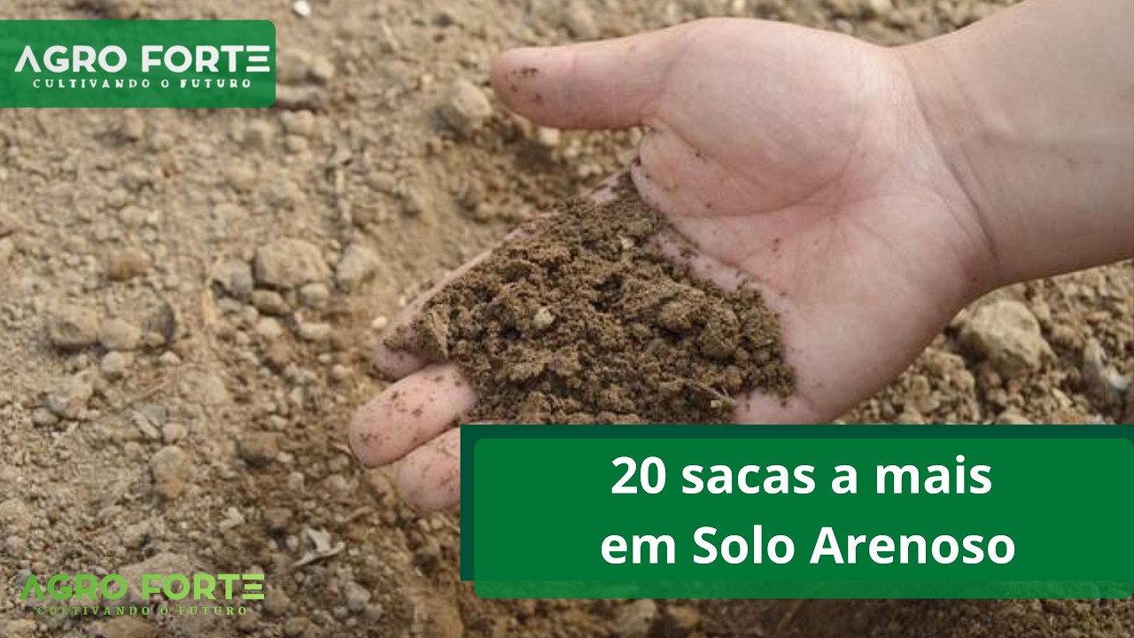 20 sacas a mais em Solo Arenoso
