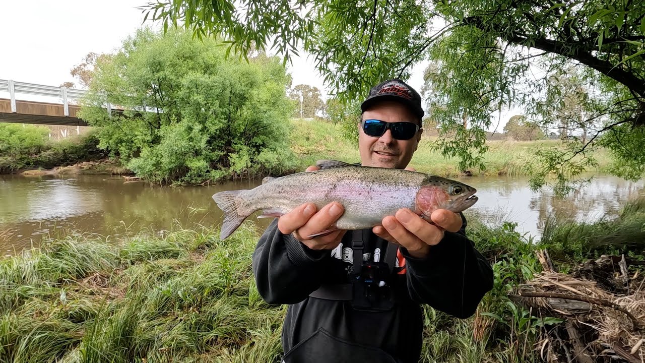Roadside TROUT FISHING in NSW