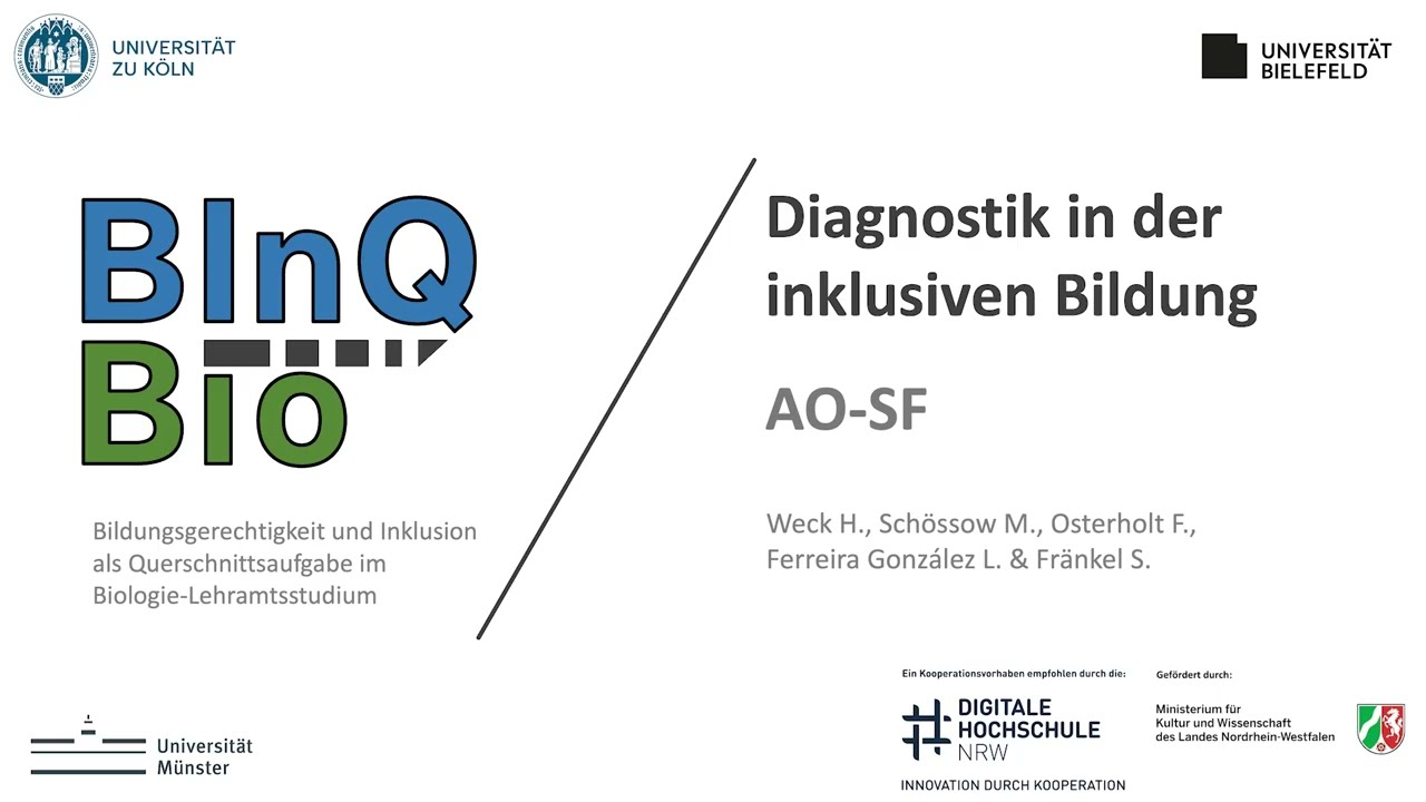 Diagnostik in der inklusiven Bildung 08 AO-SF