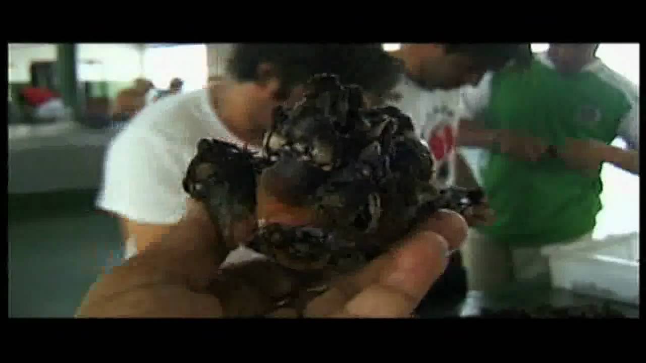 TURISMO RIAS BAIXAS  BUEU