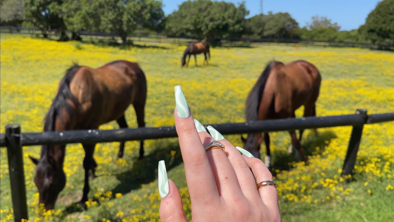 camera tapping & tracing around my new home🌱 (asmr)