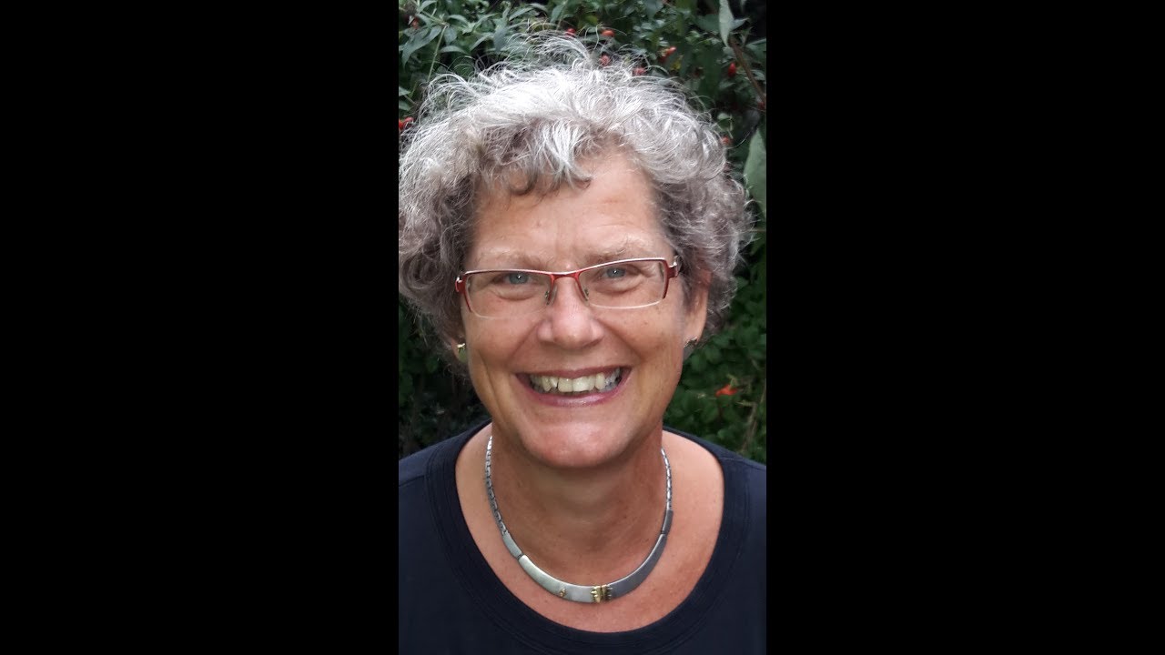 Standardized Infant NeuroDevelopmental Assessment Neurological Scale | Mijna Hadders-Algra | DMCN