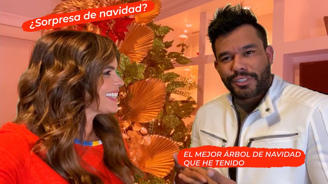 Este es el árbol de Navidad más hermoso que he tenido!! I Rashel Díaz