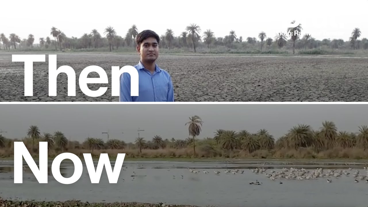 Unbelievable! How India's Dying Lakes Are Revived