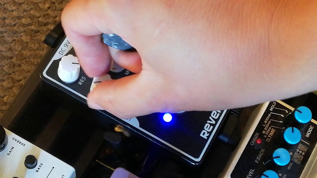 Snake Bite Reverb - Caline