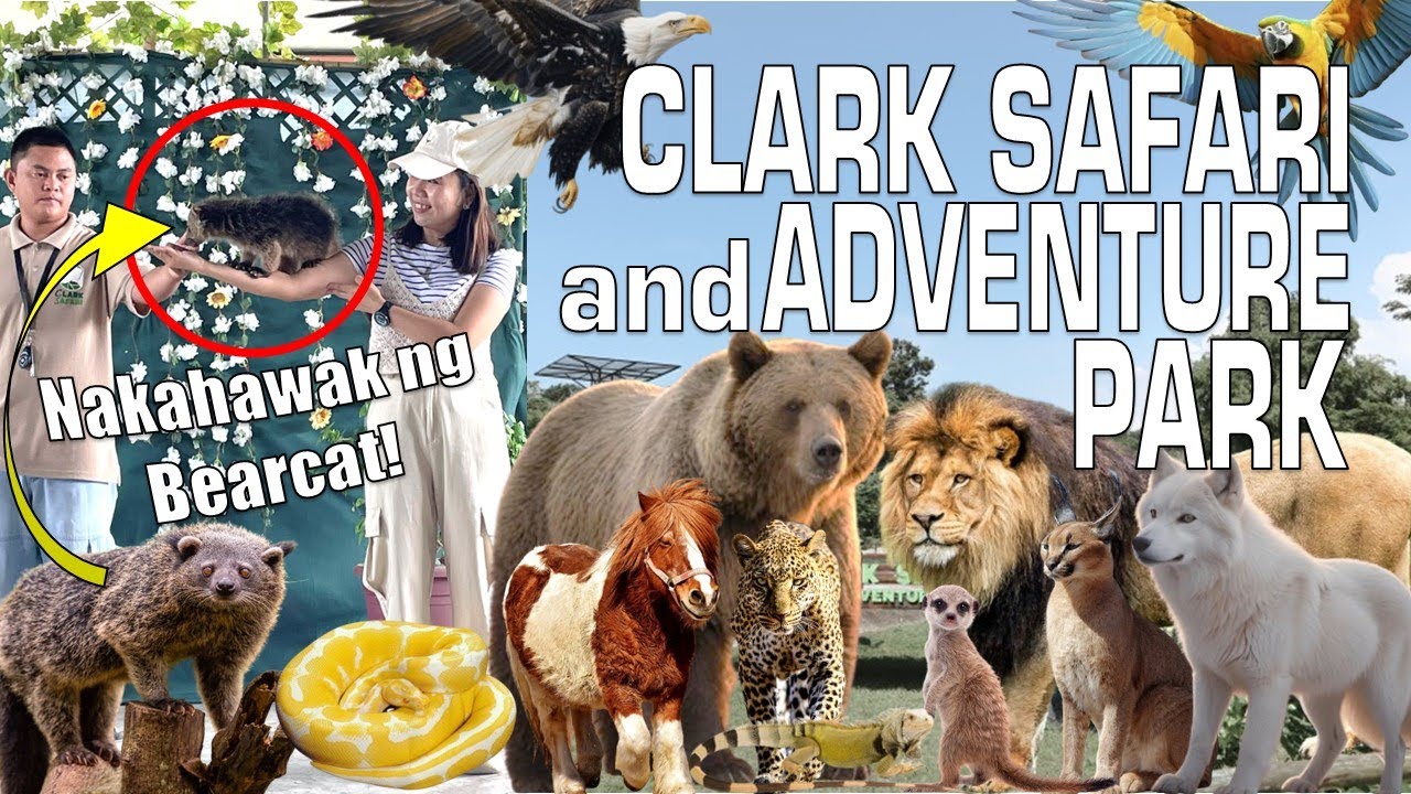 Clark Safari and Adventure Park Full Tour
