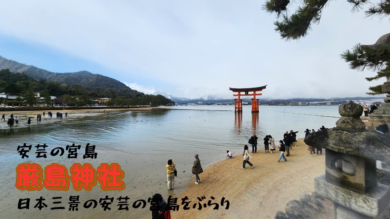 安芸の宮島、厳島神社をぶらりと歩きました！雪も降り赤い鳥居と雪と海・・・最高の日本三景でした(*^^*)