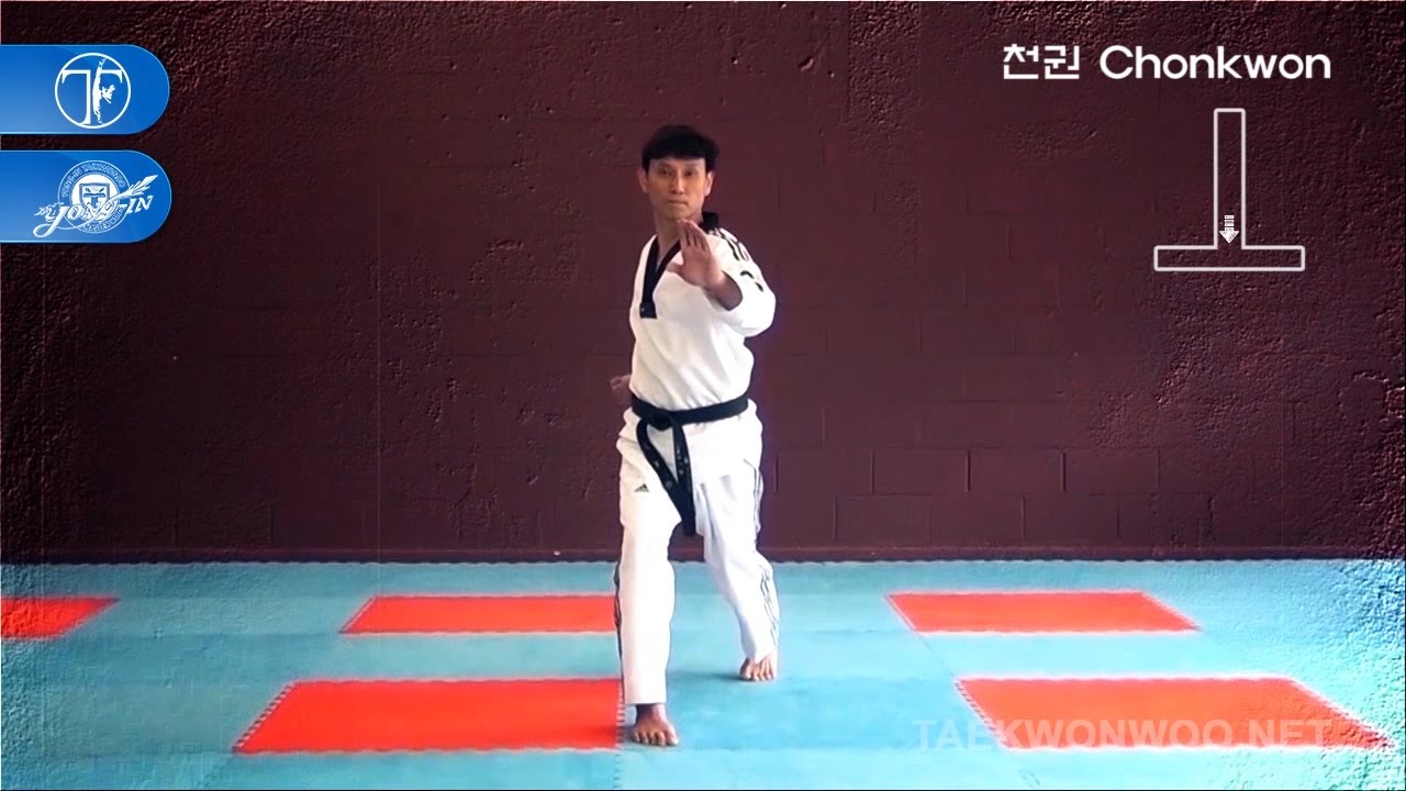 WT Taekwondo Black Belt Poomsae Chonkwon | 품새 천권 | TaekwonWoo