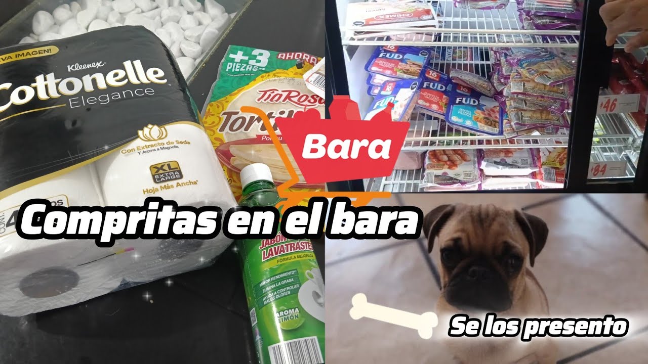 Compra Expréss en la tienda Bara  🛒💰 | Les presento a mi cachorro Maick 🐶🦴