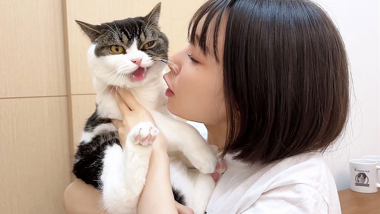 いたずら猫に無理矢理キスしたらこうなった…w