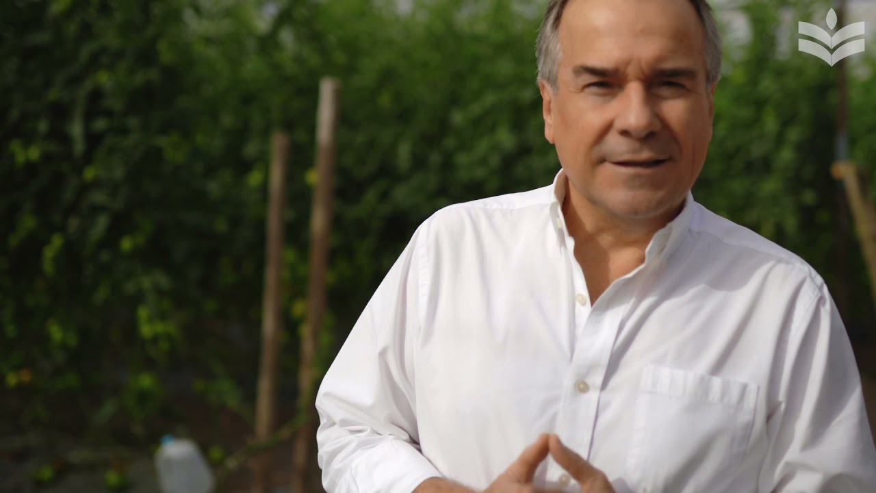 Cultivo a campo abierto en Agrícola Chaparral