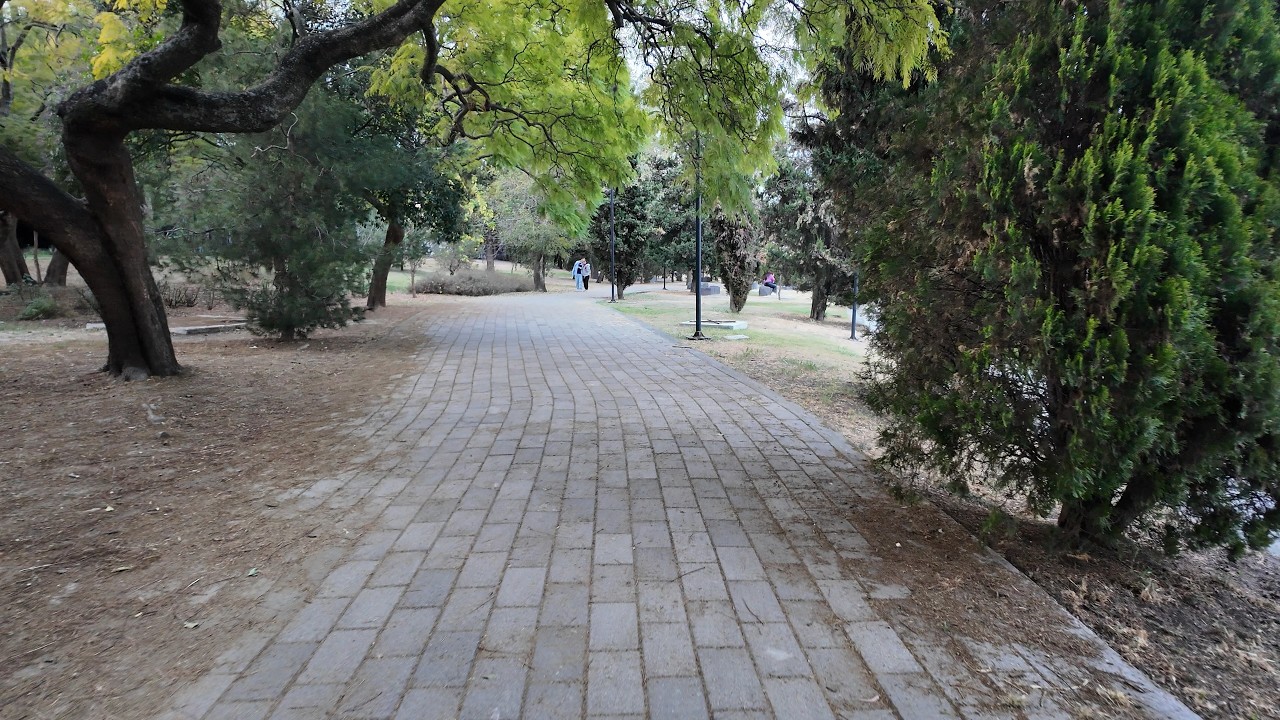 4K Walking Tour in Bosque de Chapultepec | Forest Paths → Lago Menor (45 Minutes)