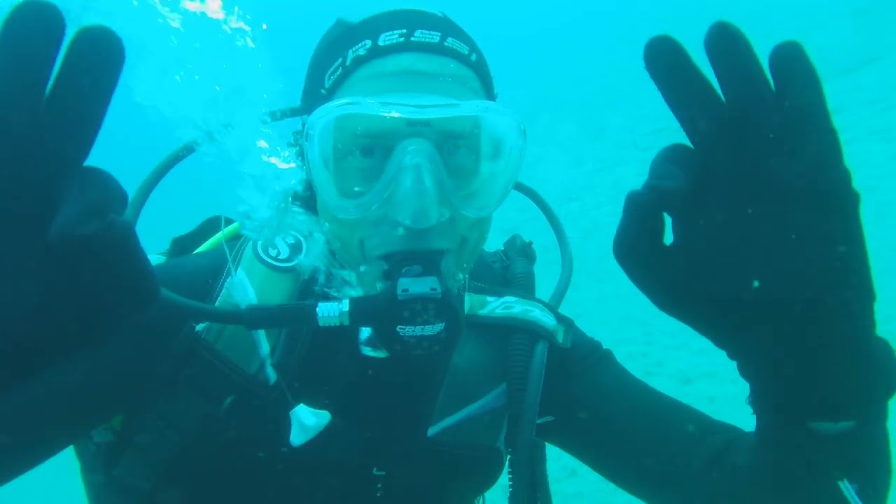 Fuerteventura - Diving in front of Playa Matorall con gli Squali Angelo