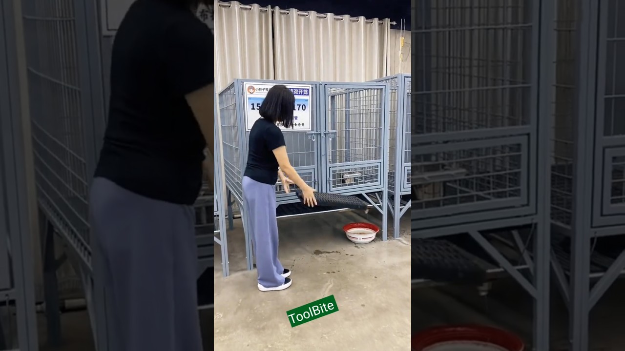 double-opening cage with solid detachable baffle 