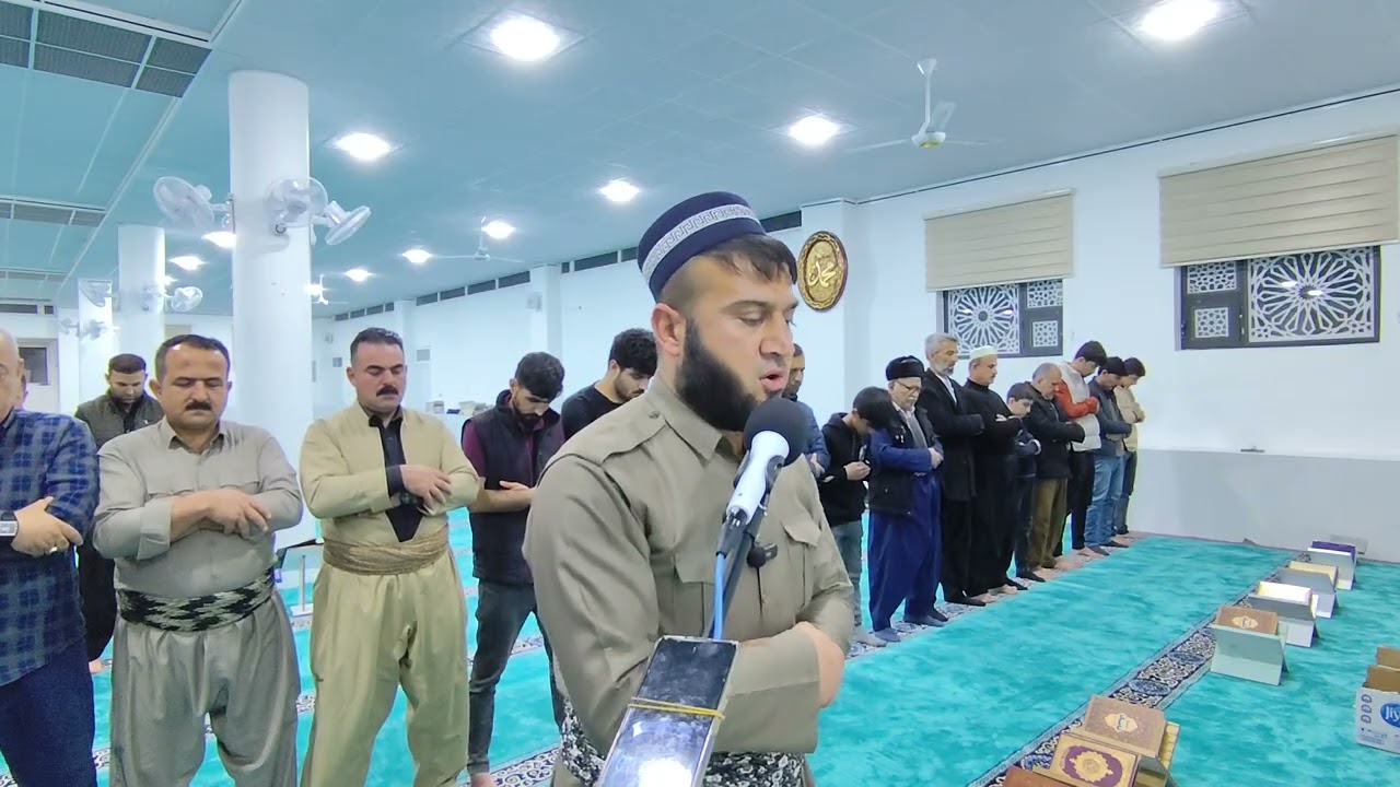 ١٧ فبراير ٢٠٢٦