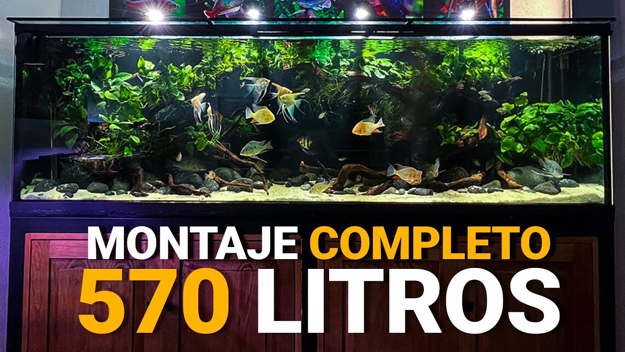Montaje COMPLETO del ACUARIO DE 570 Litros
