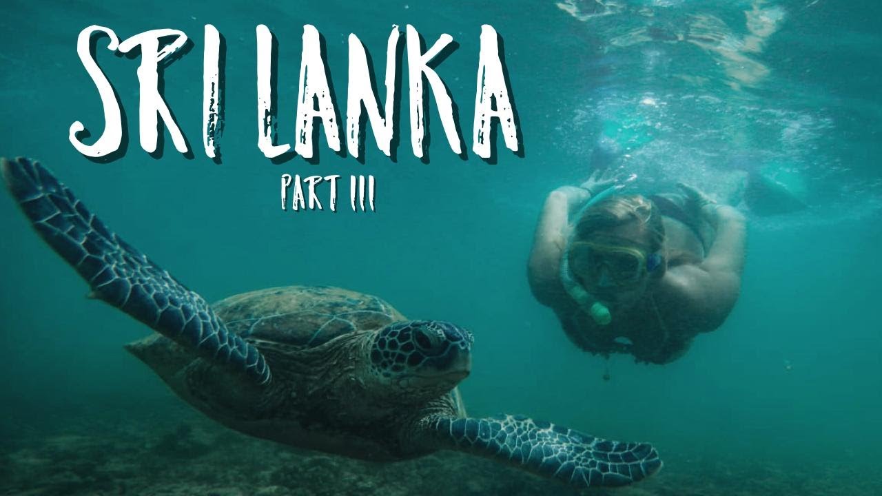 SRI LANKA an der Südküste angekommen / Tauchen & Surfen mit Schildkröten / Vlog °30