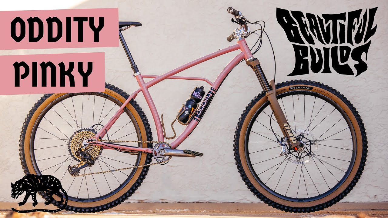 Oddity Cycles Pinky 29er Snow Day ｜ Beautiful Builds ｜ The Radavist