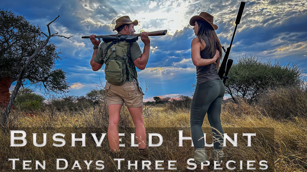 Bushveld Hunt Ten Days Three Species - Trailer!