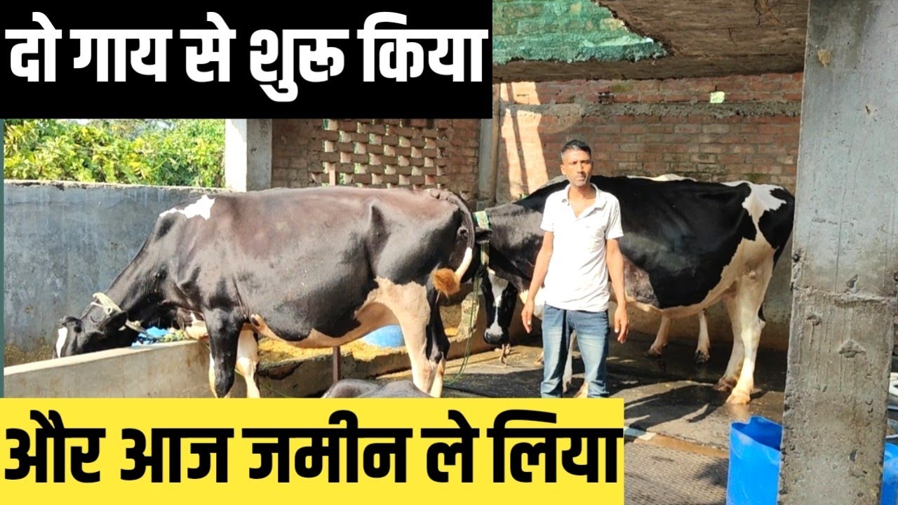 दो गाय से अपना Dairy Farm शुरू कर आज जमीन खरीद लिया  | Dairy Farming