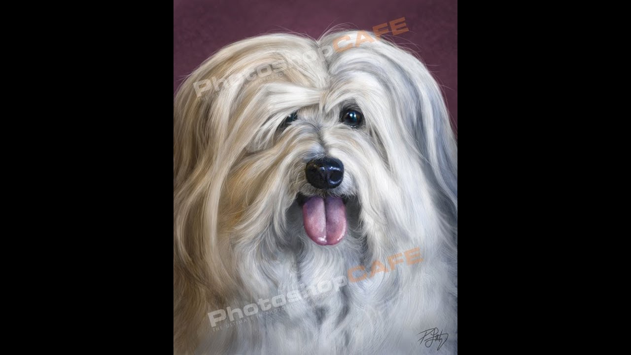 Как нарисовать волосы и мех в Photoshop. Урок