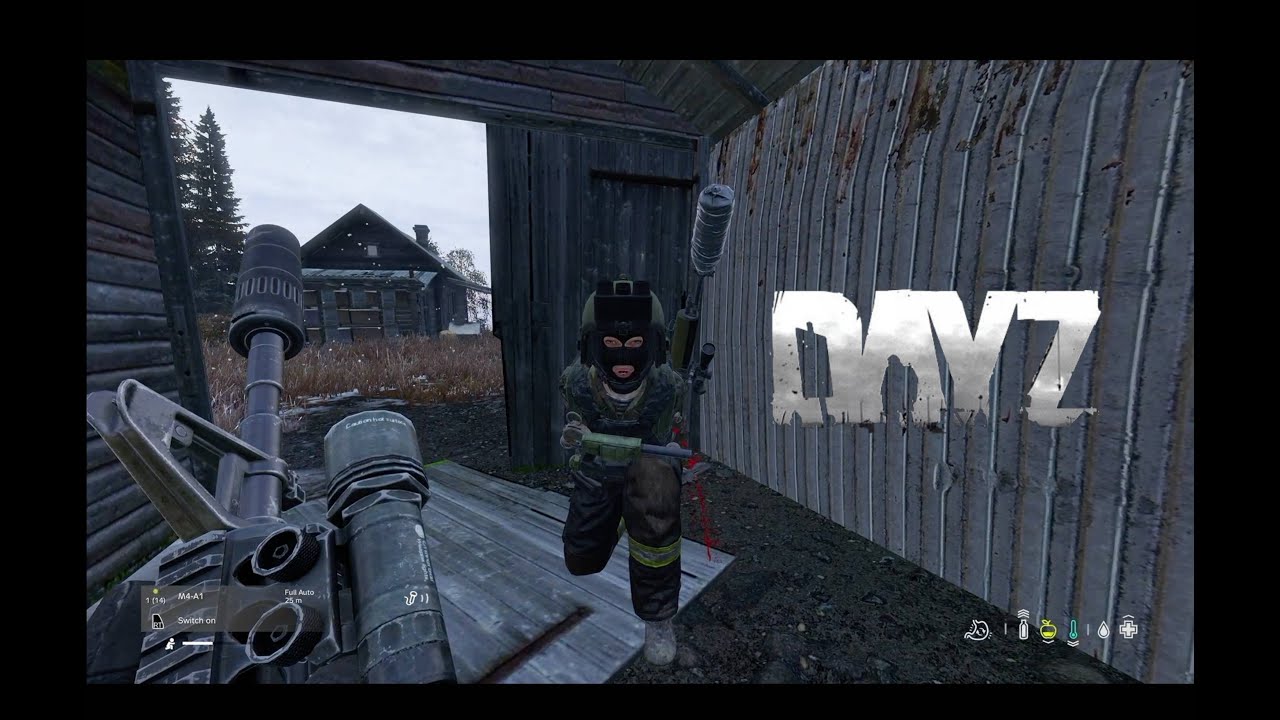 Мои лучшие моменты DayZ на Xbox в 2025 году