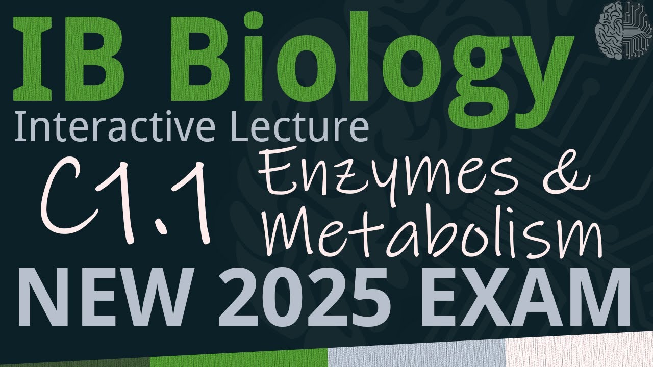 IB Biology C1.1 - Enzymes & Metabolism [SL/HL] - Interactive Lecture 2025-2033