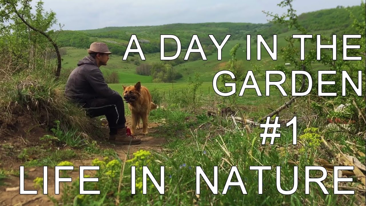 Transylvania Wild | Episode 1 | A day in to the garden | PERMACULTURE | OFF GRID