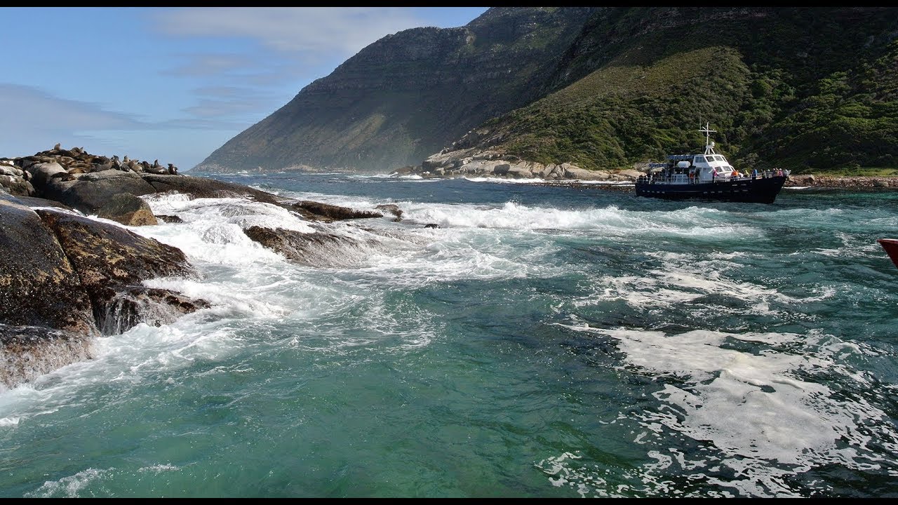 L'&iuml;le aux Phoques - Duiker Island - HD 1080