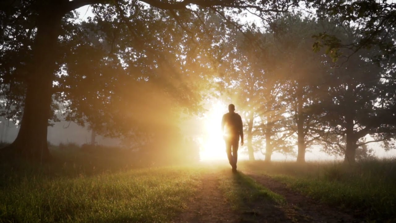 Zindagi Hai Tarapna | The Indian Temptations