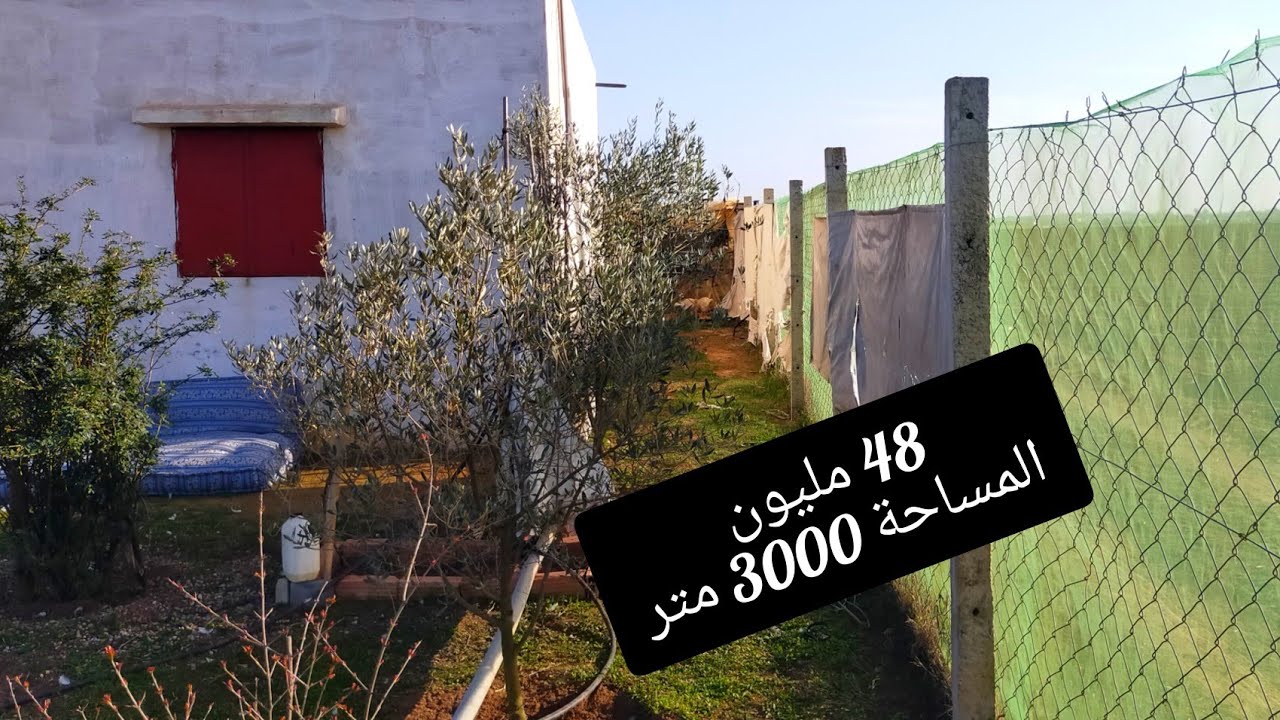 فيرمة صغيرة 3000 متر نواحي ✨ تيفلت 48 مليون 💲