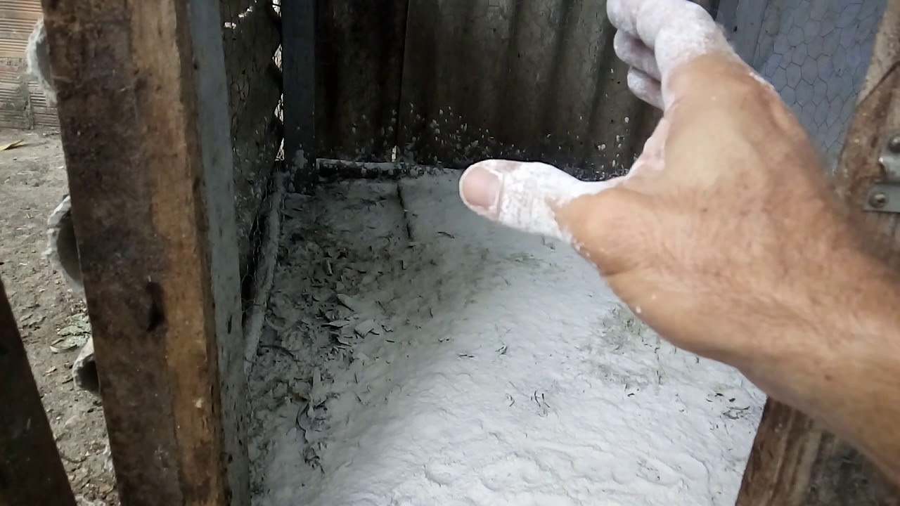 Como mata as bactérias do seu galinheiro