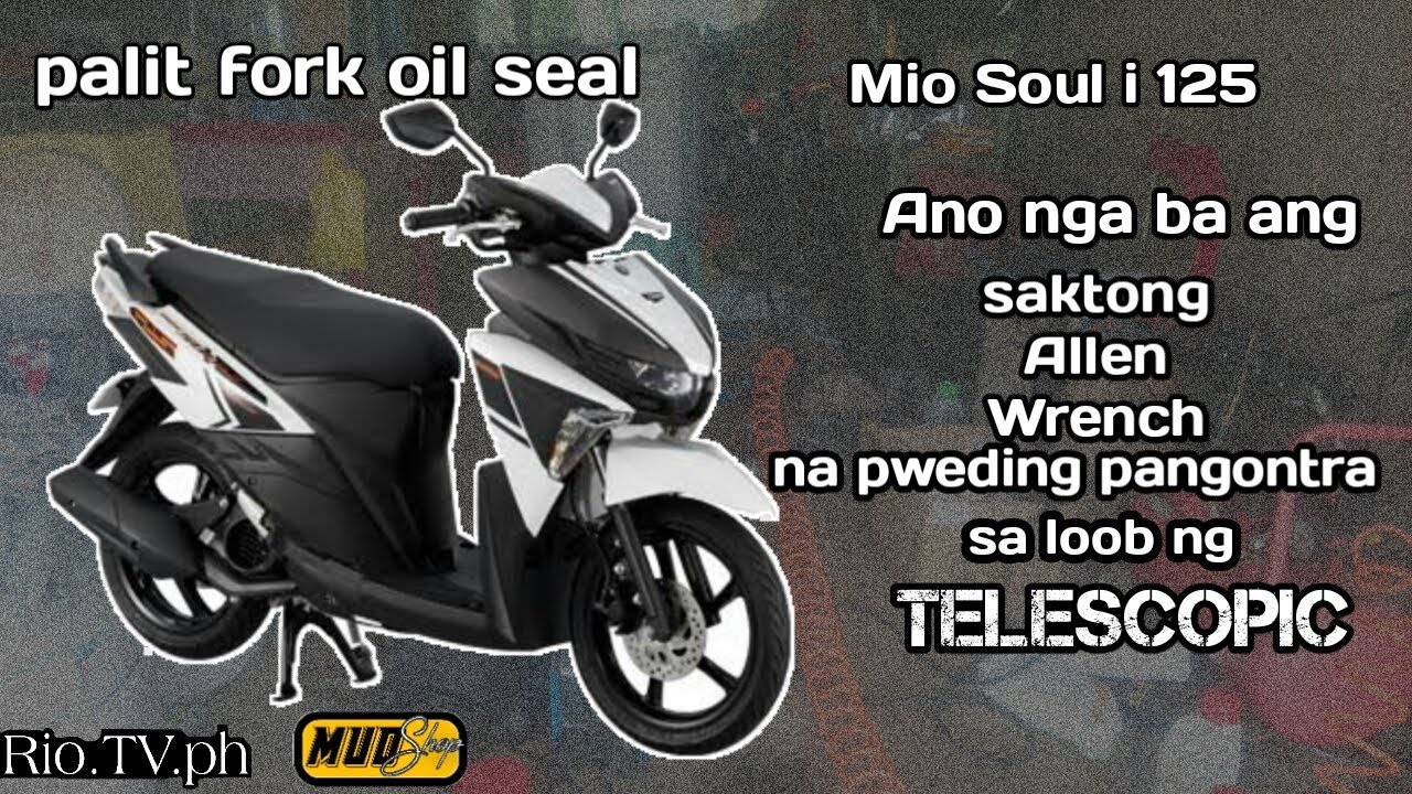 PALIT FORK OIL SEAL | MIO SOUL i | Rio.TV.ph