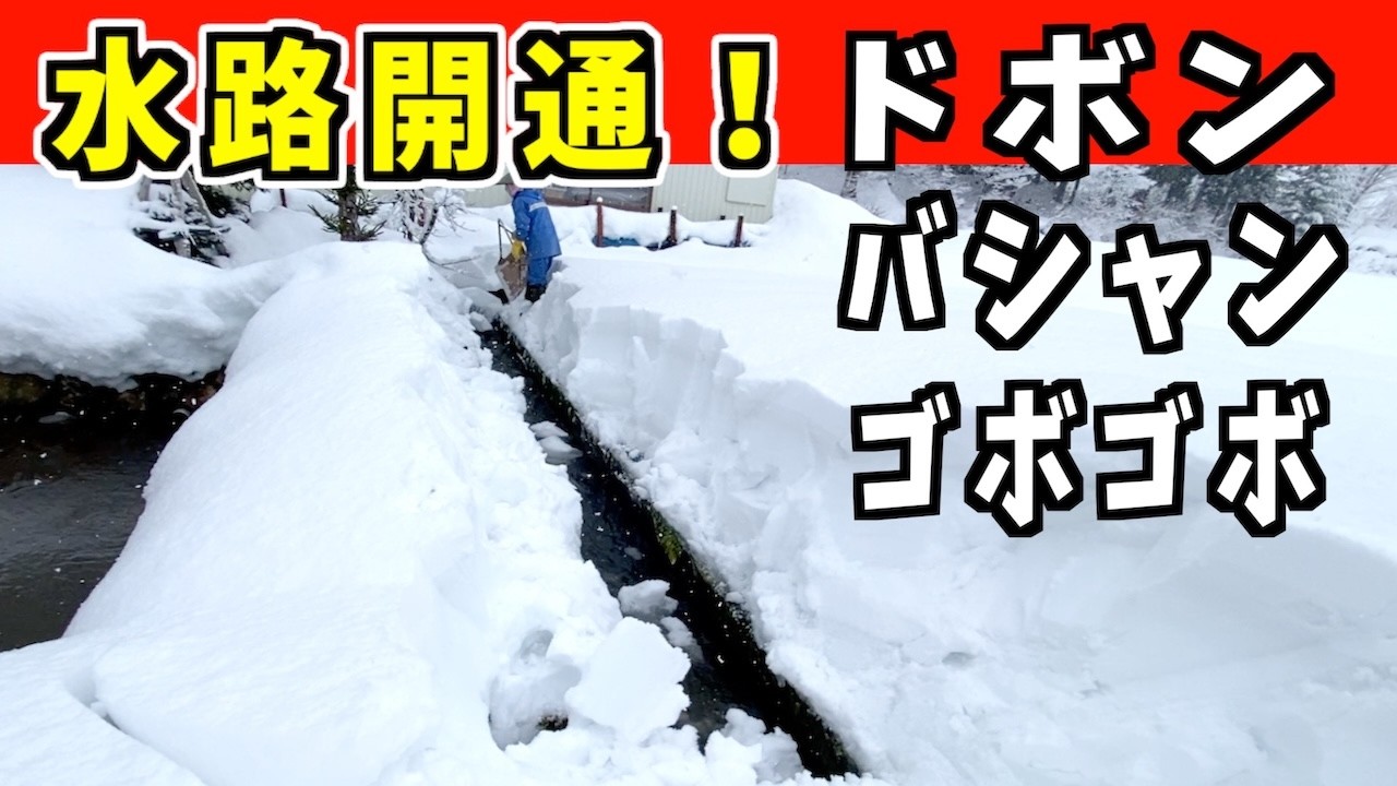 【ドボン】2025-01-04（土）ゴボゴボゴボゴボ気持ちいい！武七の除雪・雪かき日記　snow removal ASMR