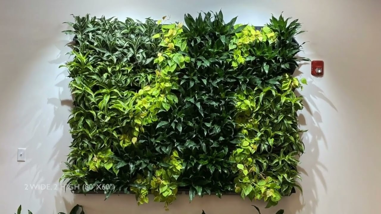 Complete Vertical Indoor Living Wall Systems