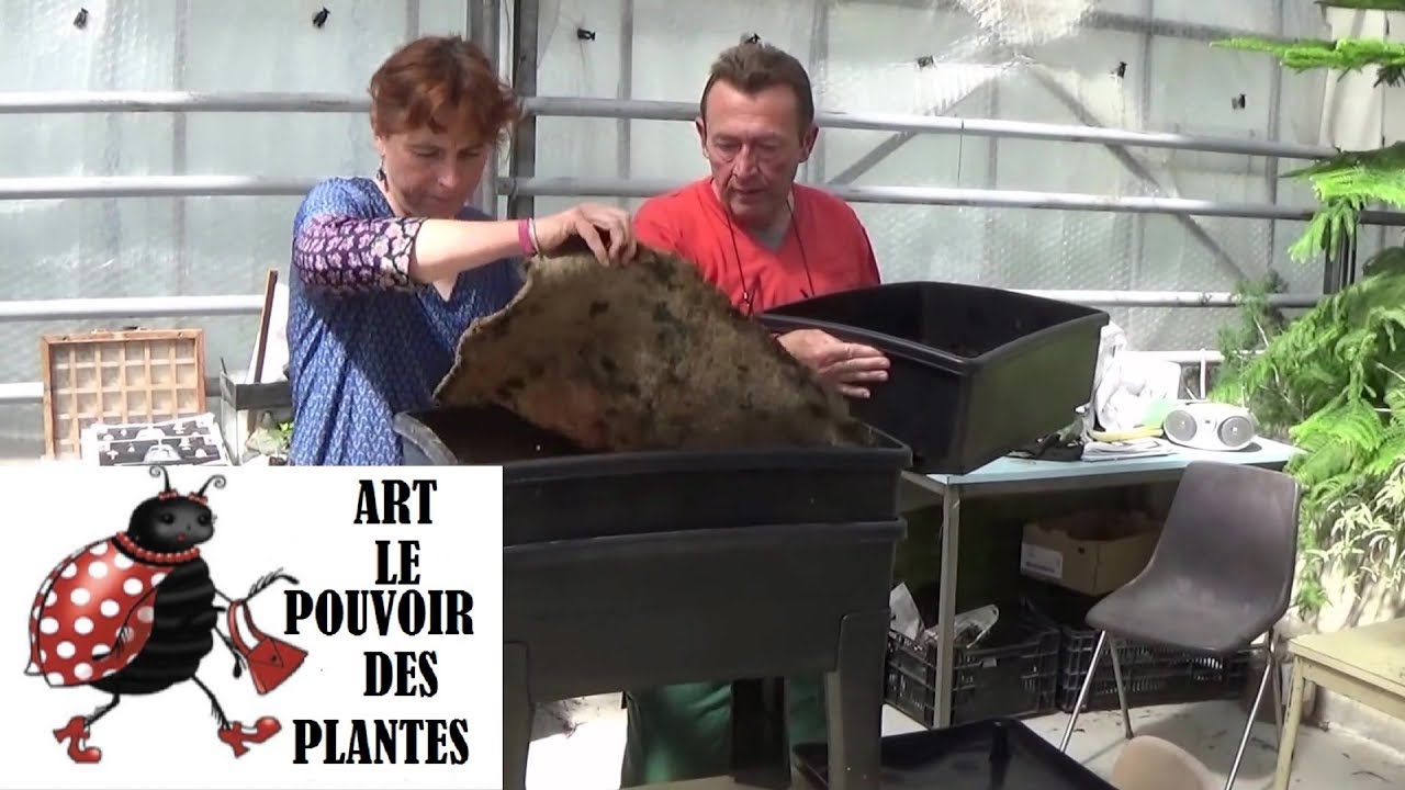 chaine tv de Jardinage: Astuce: Lombricomposteur 02 la migration des vers