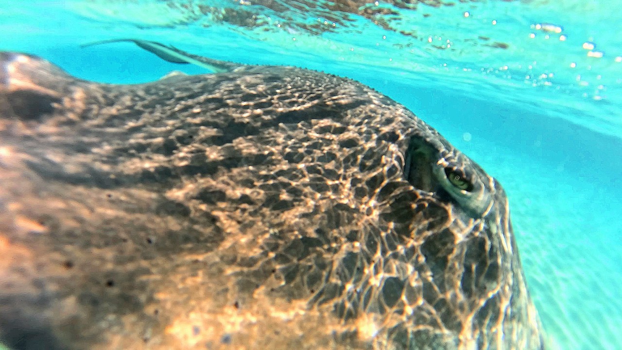 Cozumel