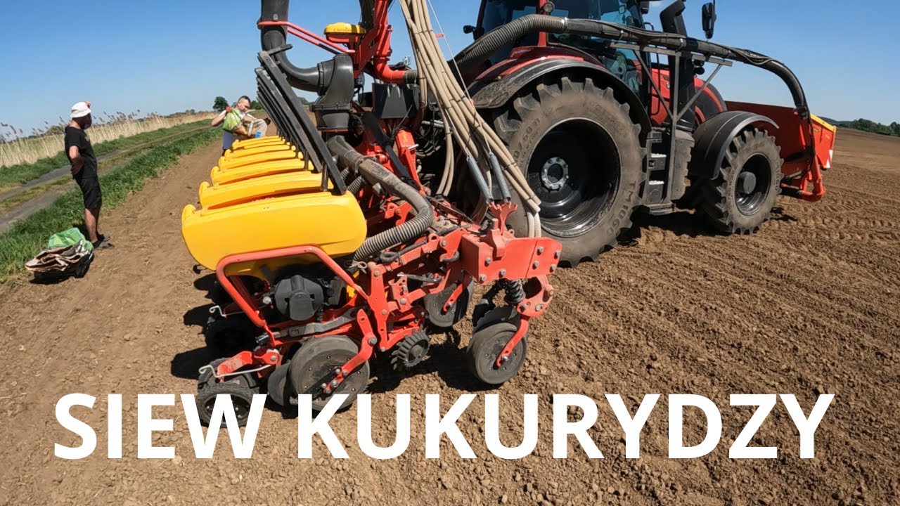 Usługowy siew kukurydzy - VADERSTAD TEMPO